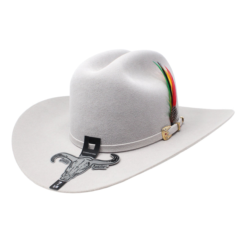 Chaparral (Sinaloa)