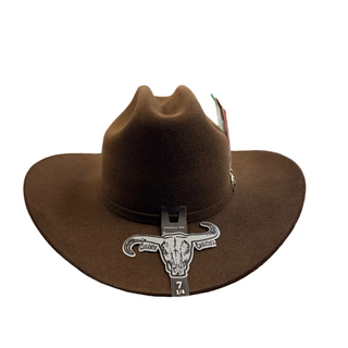 Brown cowboy hat
