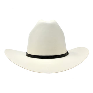 White cowboy hat with a black band on a white background