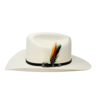 White cowboy hat with a colorful feather and black band on a white background