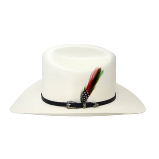 White cowboy hat with a black band and feather on a white background