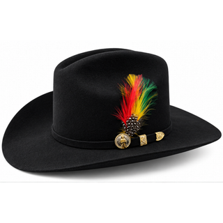 A black felt cowboy-style hat with a vibrant feathered accent in red, yellow, green, and black, and a solid black band with a gold san judas medallion on the side.