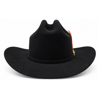 A black felt cowboy hat with a curved brim, a black band around the crown, and a small feather accent with red, orange, and yellow feathers.