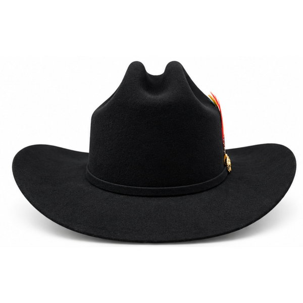 A black felt cowboy hat with a curved brim, a black band around the crown, and a small feather accent with red, orange, and yellow feathers.