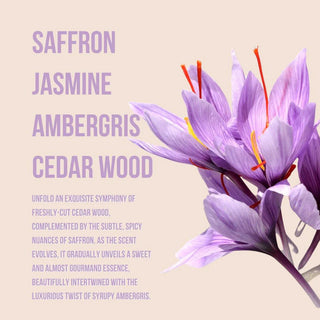 Beauty Creations Women's Body Collection Lotion and Mist Sets - My Little Secret