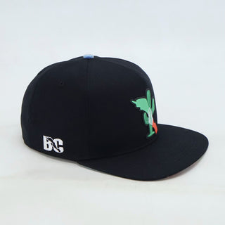 VBR Baja California black snapback cap angled view with Baja California cactus design
