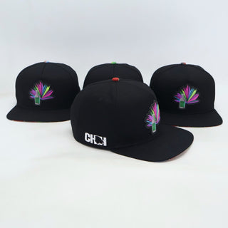 VBR Chihuahua Sotol black snapback cap angled side view with Chihuahua embroidery and sotol agave patch