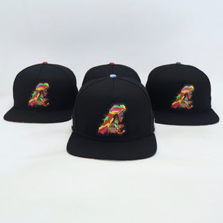 VBR Nayarit Los Coras black snapback cap with colorful Los Coras front patch